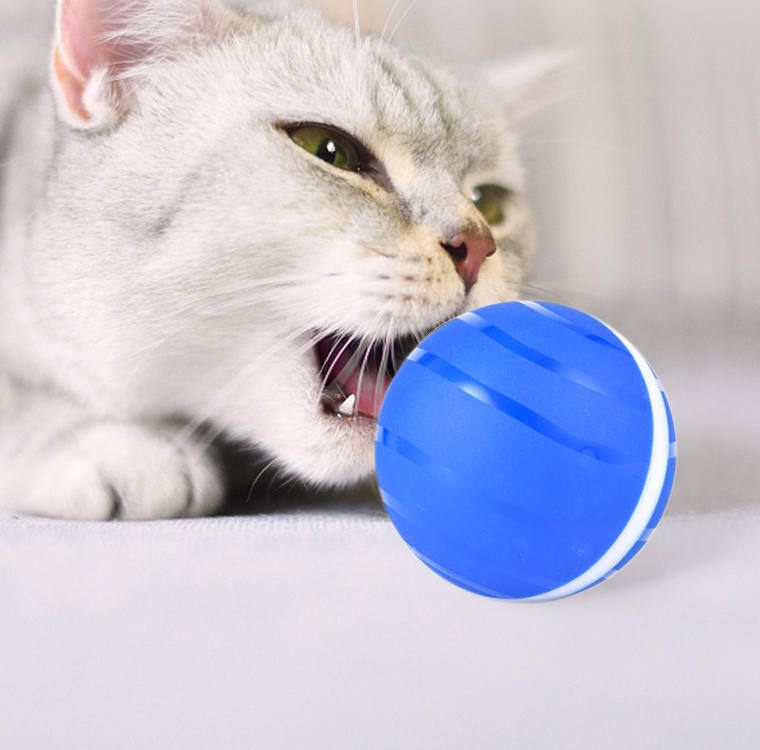 Smart Interactive LED Bouncing Ball for Cat USB Rechargeable Automatic