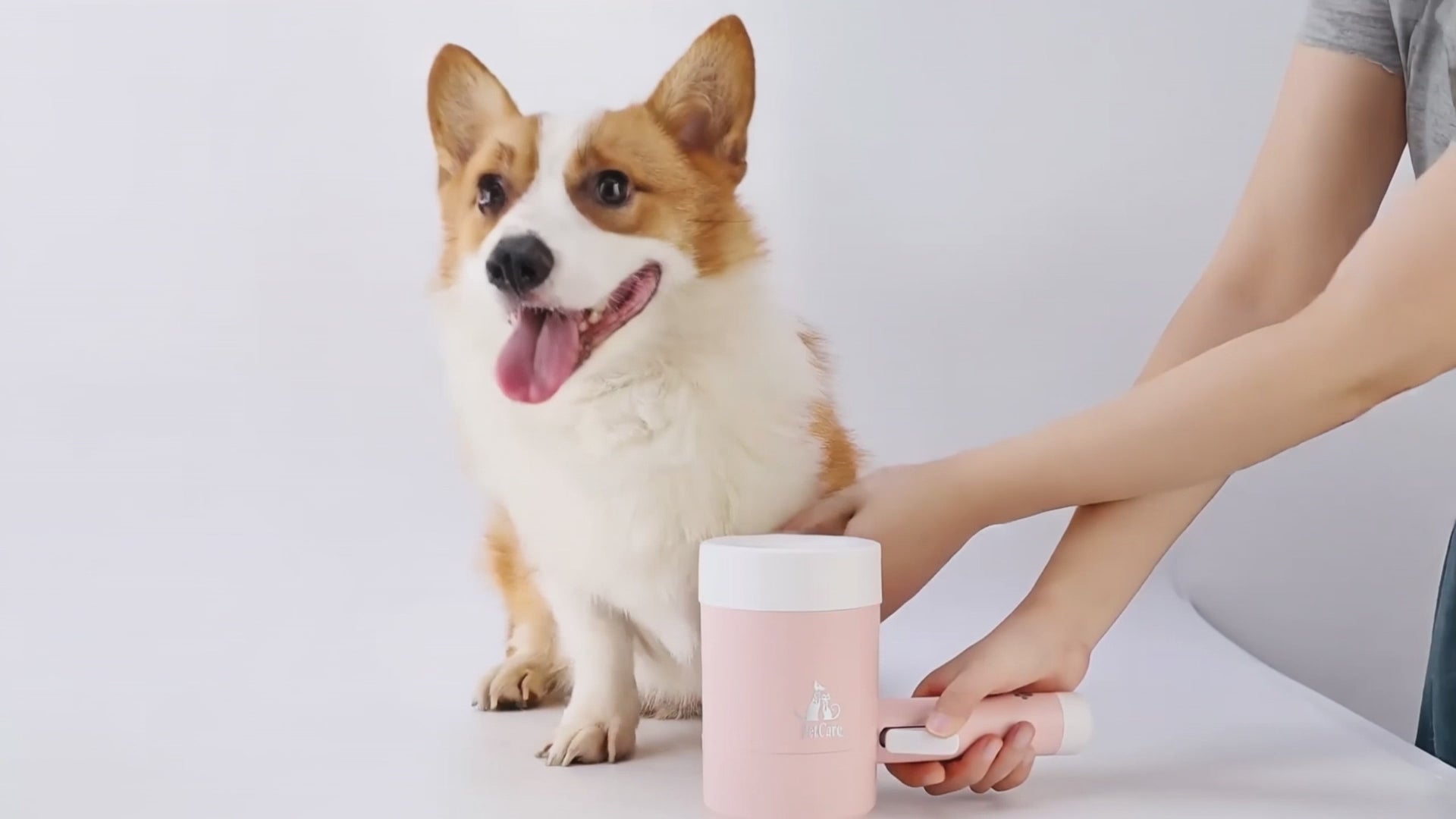 Complete Pet Grooming Kit — Deshedding Glove & Paw Cleaner Cup Bundle